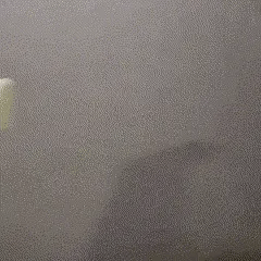 iStock VR Gunstock for Europe Meta quest 3 and 2